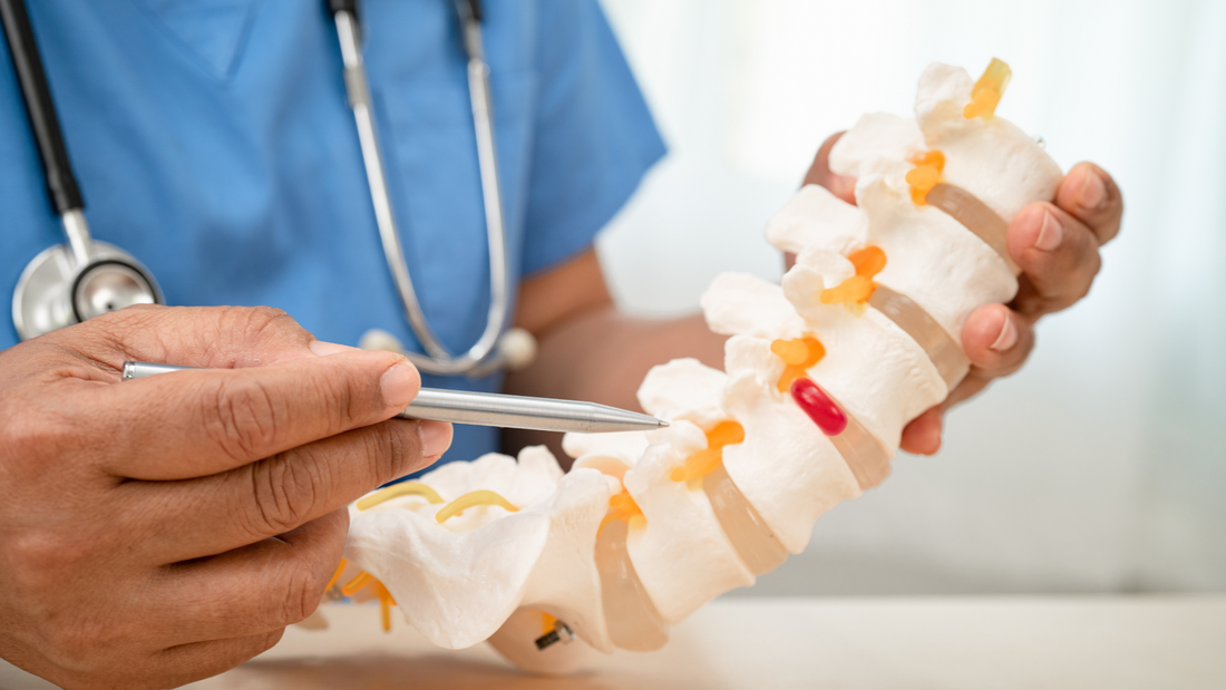 Osteoporozė / osteoartritas